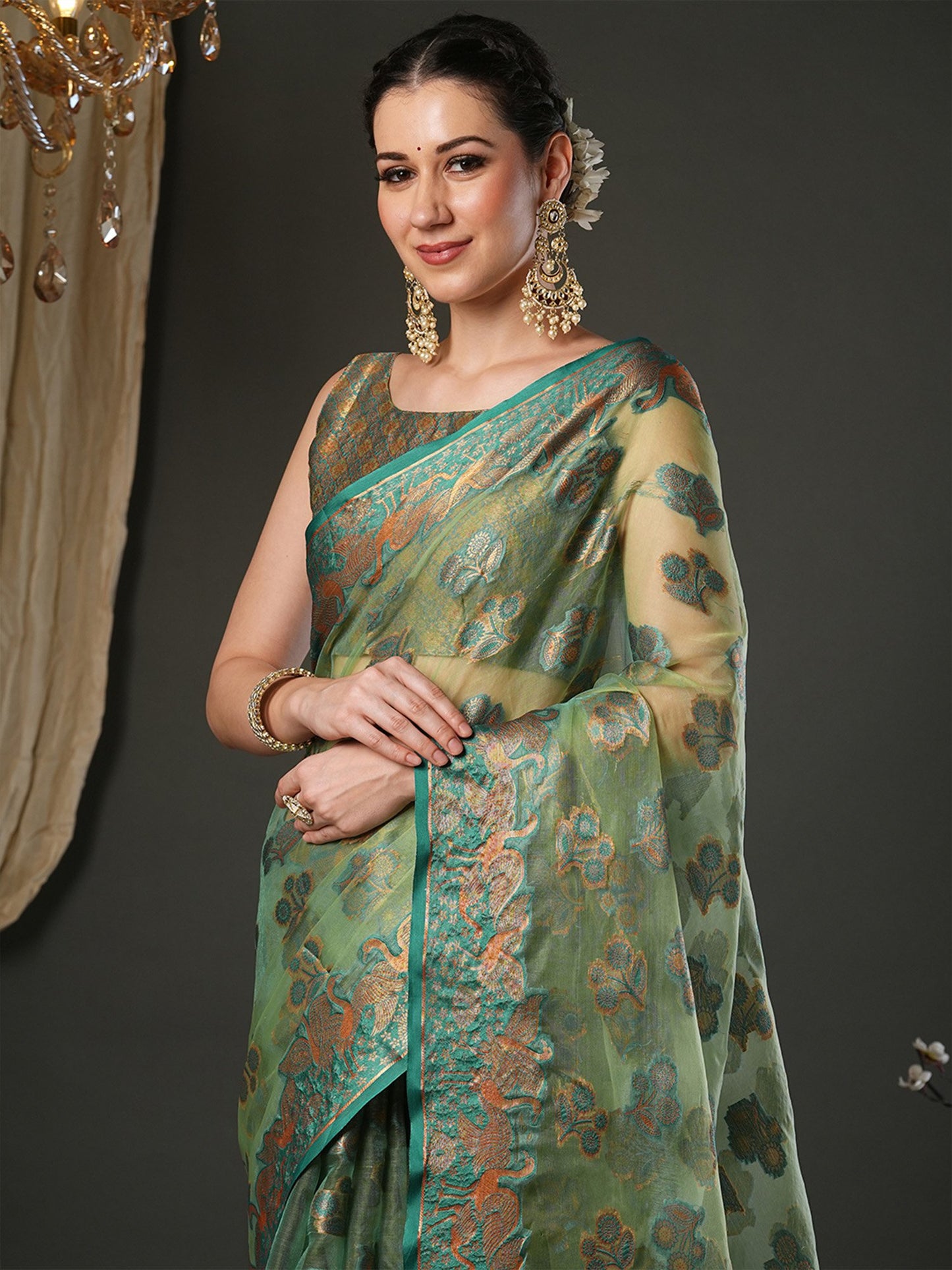 Light Banarasi Organza Woven Saree