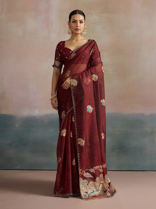 Brown Dark Uppada Organza Woven Saree