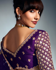 Blue Pure Ho Tissue Organza Saree