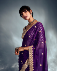 Blue Pure Ho Tissue Organza Saree