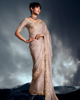 Off-White Pure Ho Tissue Organza Saree