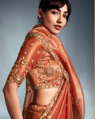 Orange Pure Ho Tissue Organza Saree