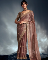 Brown Pure Ho Tissue Organza Saree