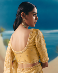 Light Yellow Satin Organza Saree