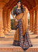 Brown Bronze Pochampally Malai Silk Printed Saree