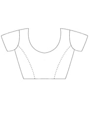 Light Party Wear Net Embellished Saree