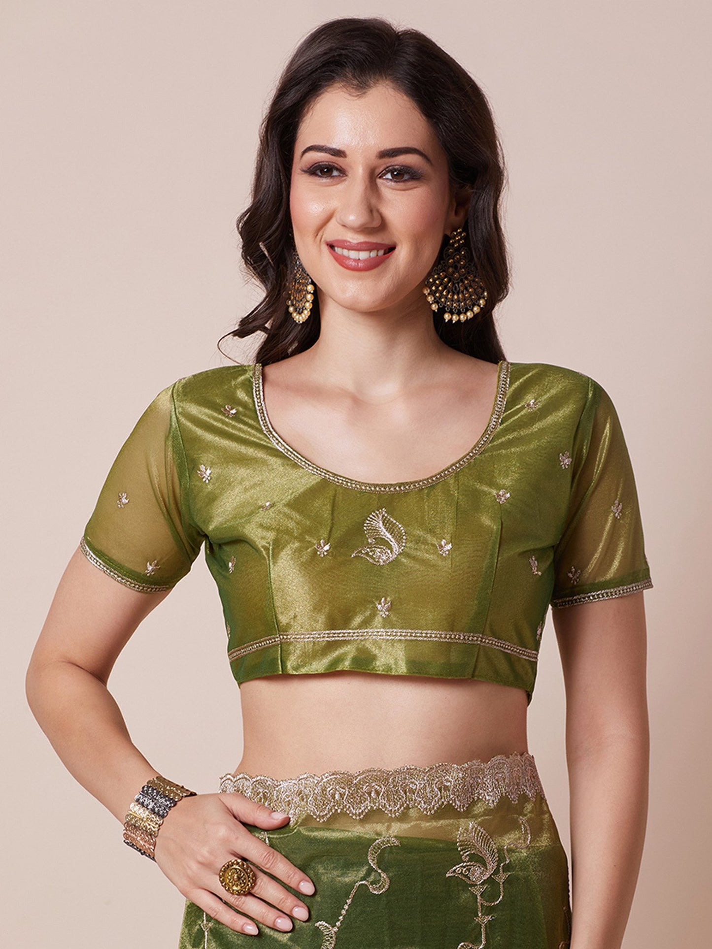 Light Party Wear Net Embroidered Saree