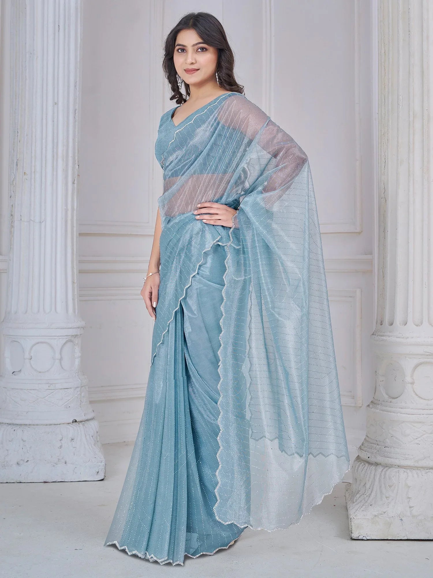 Light Party Wear Net Embellished Saree