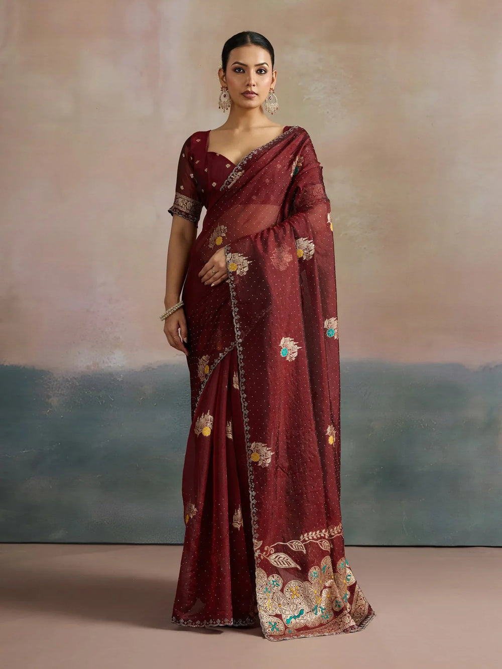 Brown Dark Uppada Organza Woven Saree