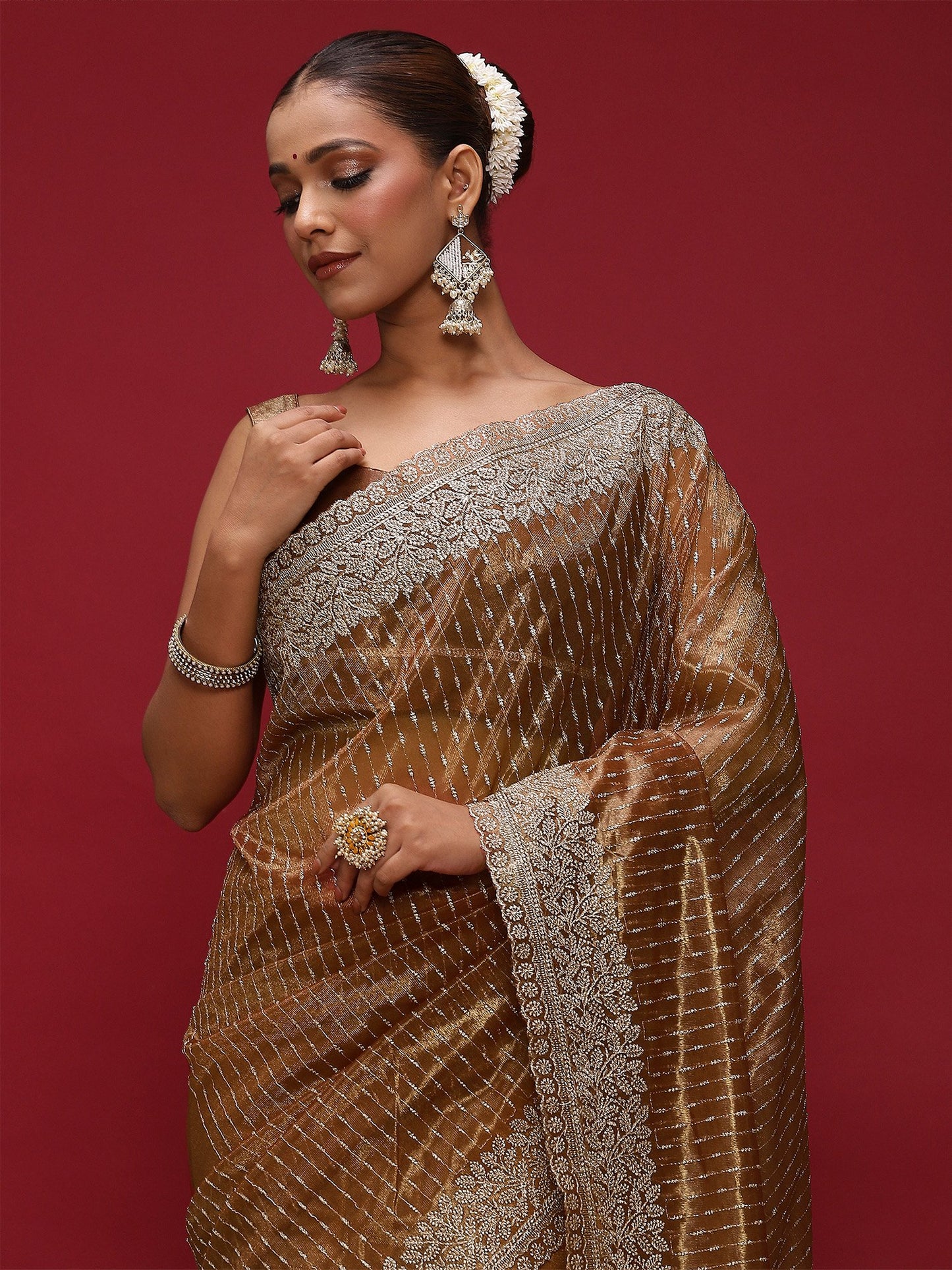 Brown Brown Party Wear Net Embellished Saree