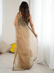 Beige Party Wear Net Embellished Saree