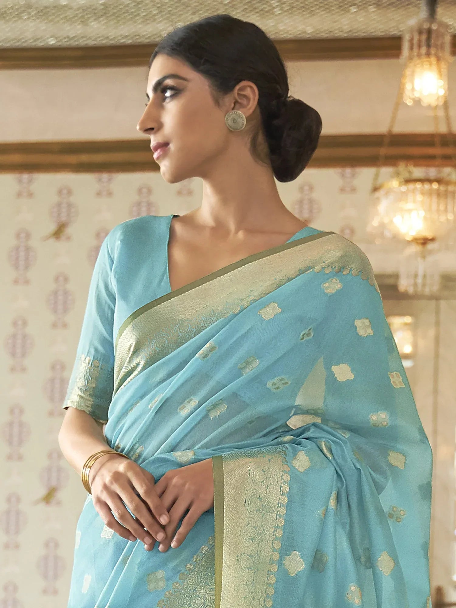 Ethnic Light Blue Banarasi Silk Saree - The Dori Store