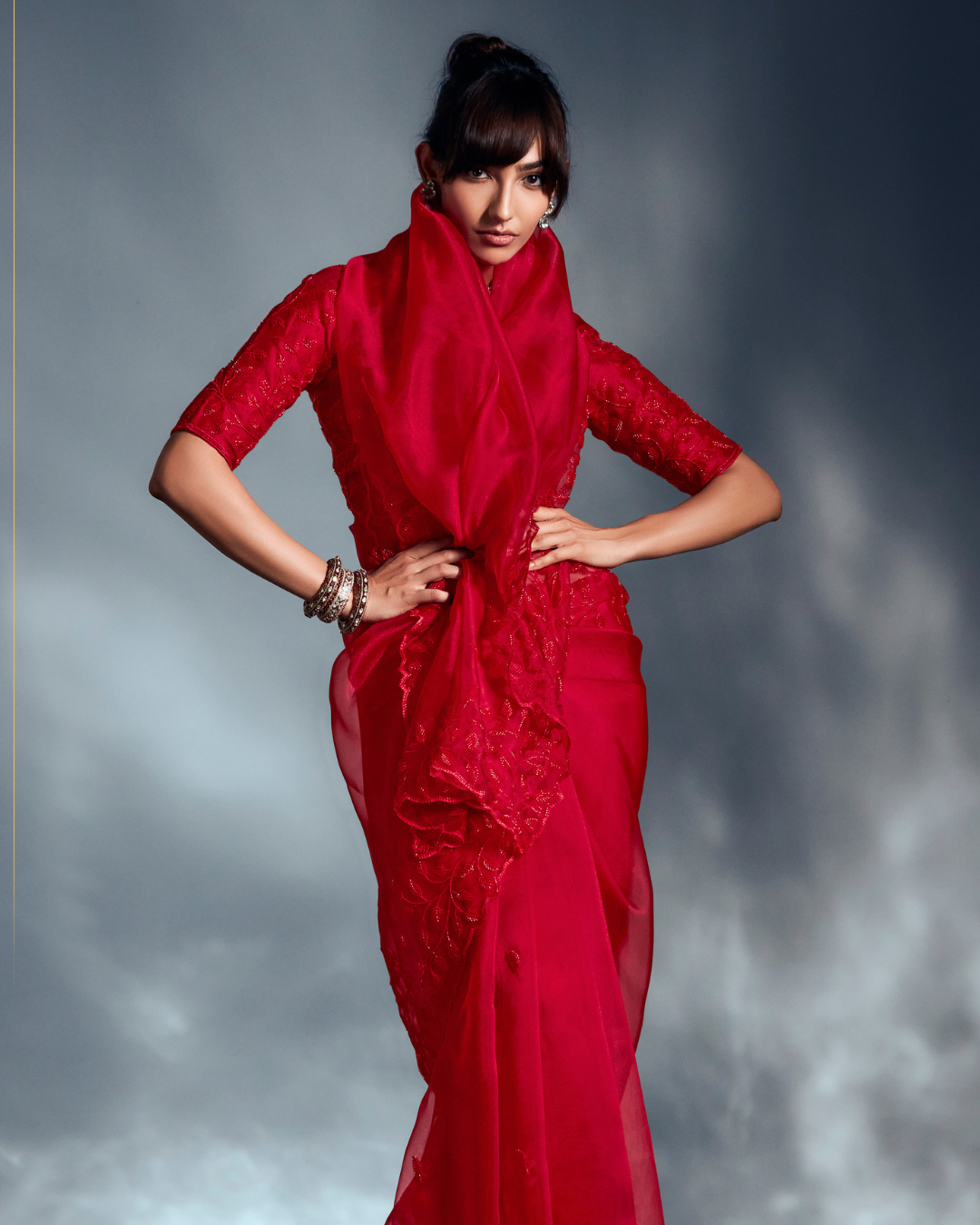 Red Pure Ho Tissue Organza Saree