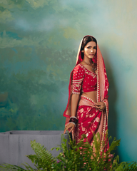 Red Dola Viscose Silk Designer Saree