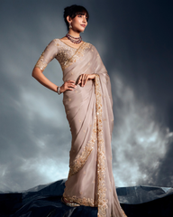 Off-White Pure Ho Tissue Organza Saree