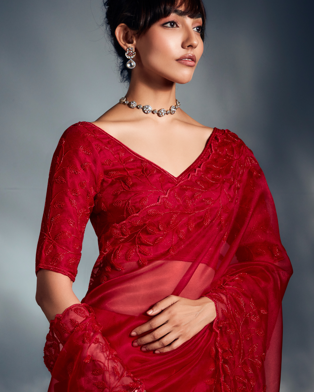 Red Pure Ho Tissue Organza Saree