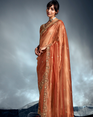 Orange Pure Ho Tissue Organza Saree