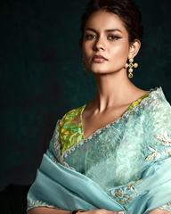 Beautiful Light Blue Sequin Work Saree