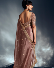 Brown Pure Ho Tissue Organza Saree