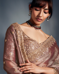 Brown Pure Ho Tissue Organza Saree