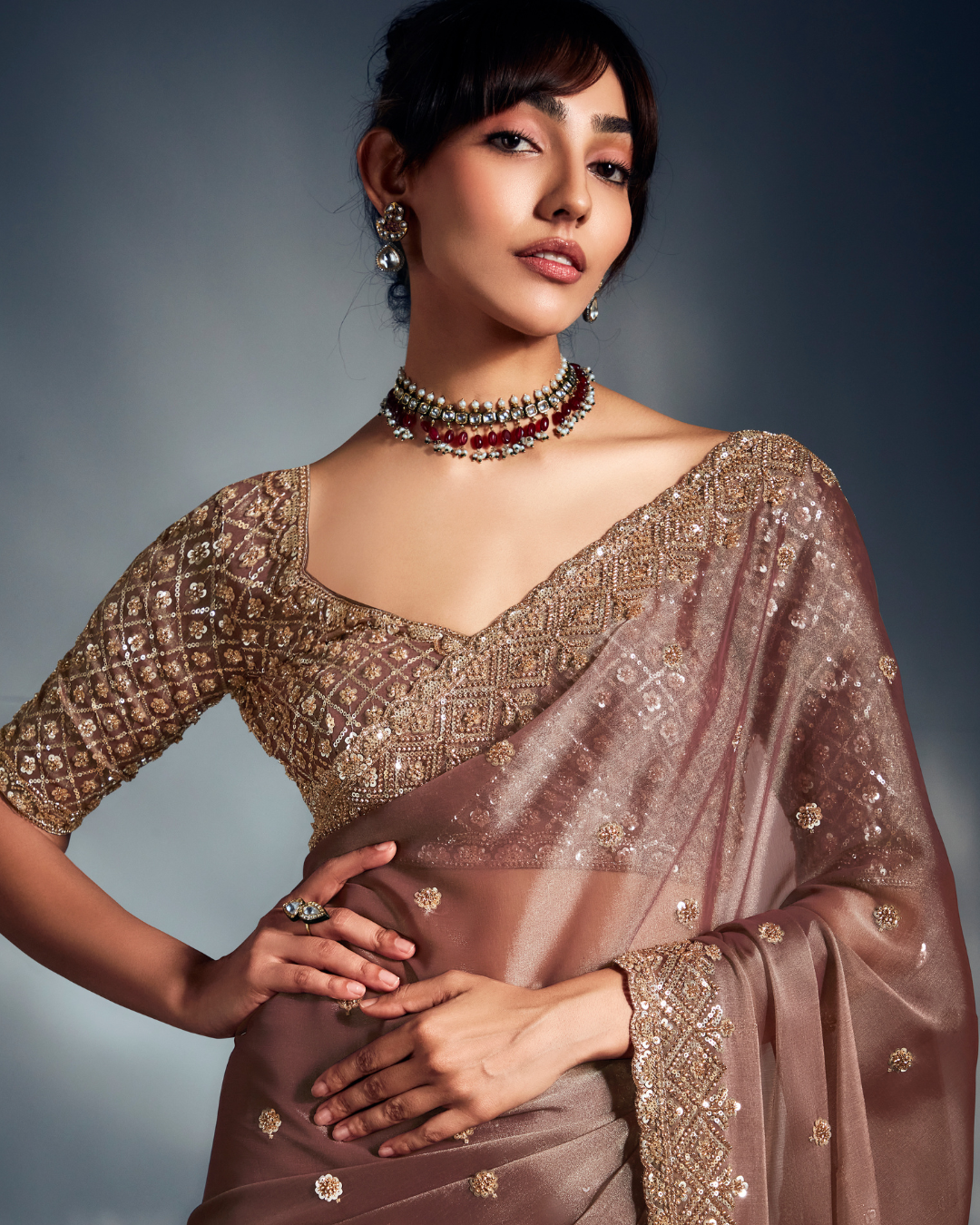 Brown Pure Ho Tissue Organza Saree