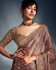 Brown Pure Ho Tissue Organza Saree