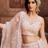 Nude Luxe Designer SemiStitched Lehenga Choli - Image 4