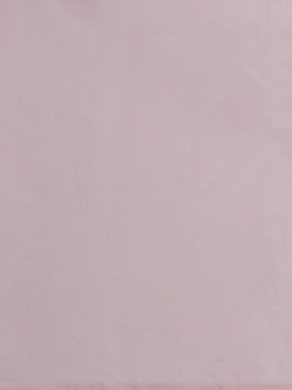 Mauve Saree - Image 4