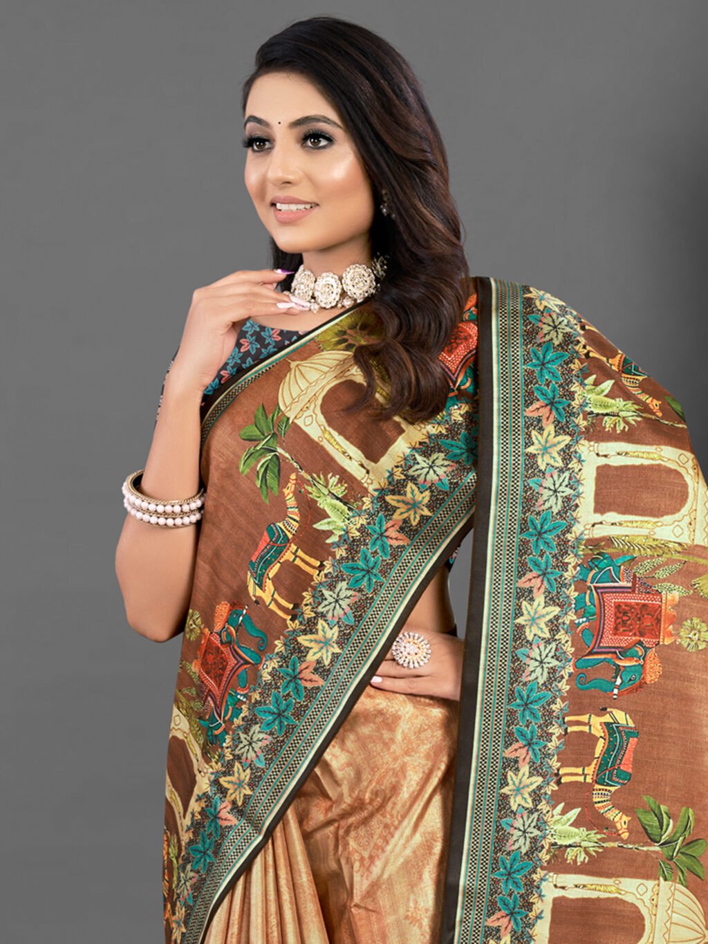 showcasing the beauty and craftsmanship of Silk Saree.