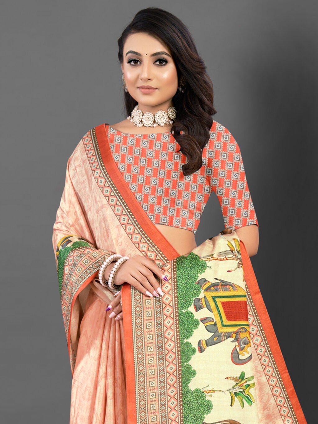 showcasing the beauty and craftsmanship of Traditional Saree.