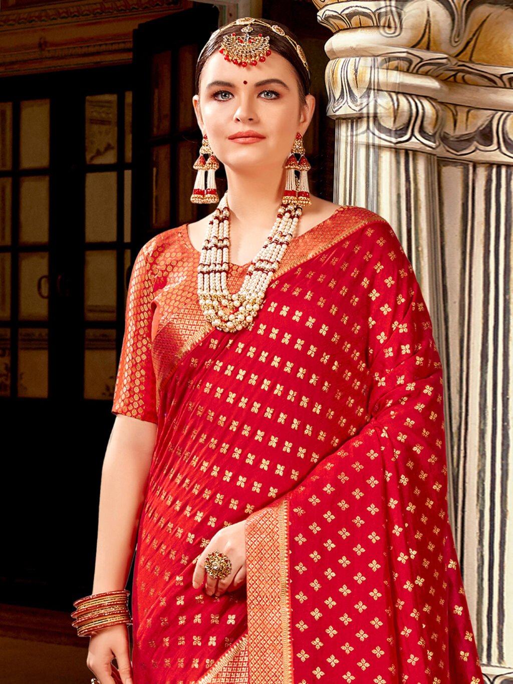 showcasing the beauty and craftsmanship of Designer Saree.