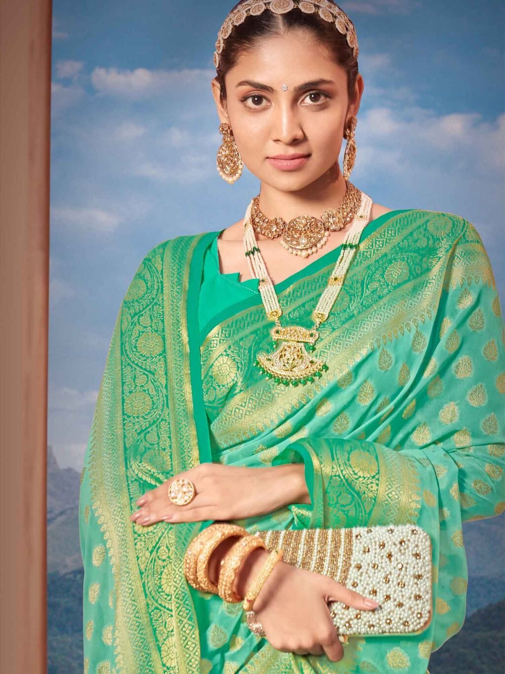 showcasing the beauty and craftsmanship of Festive Saree.