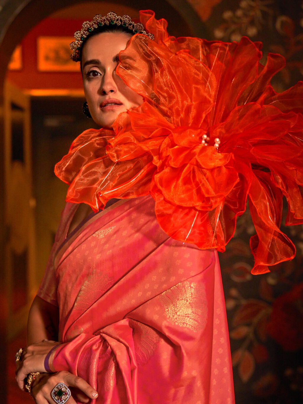 showcasing the beauty and craftsmanship of Silk Saree.