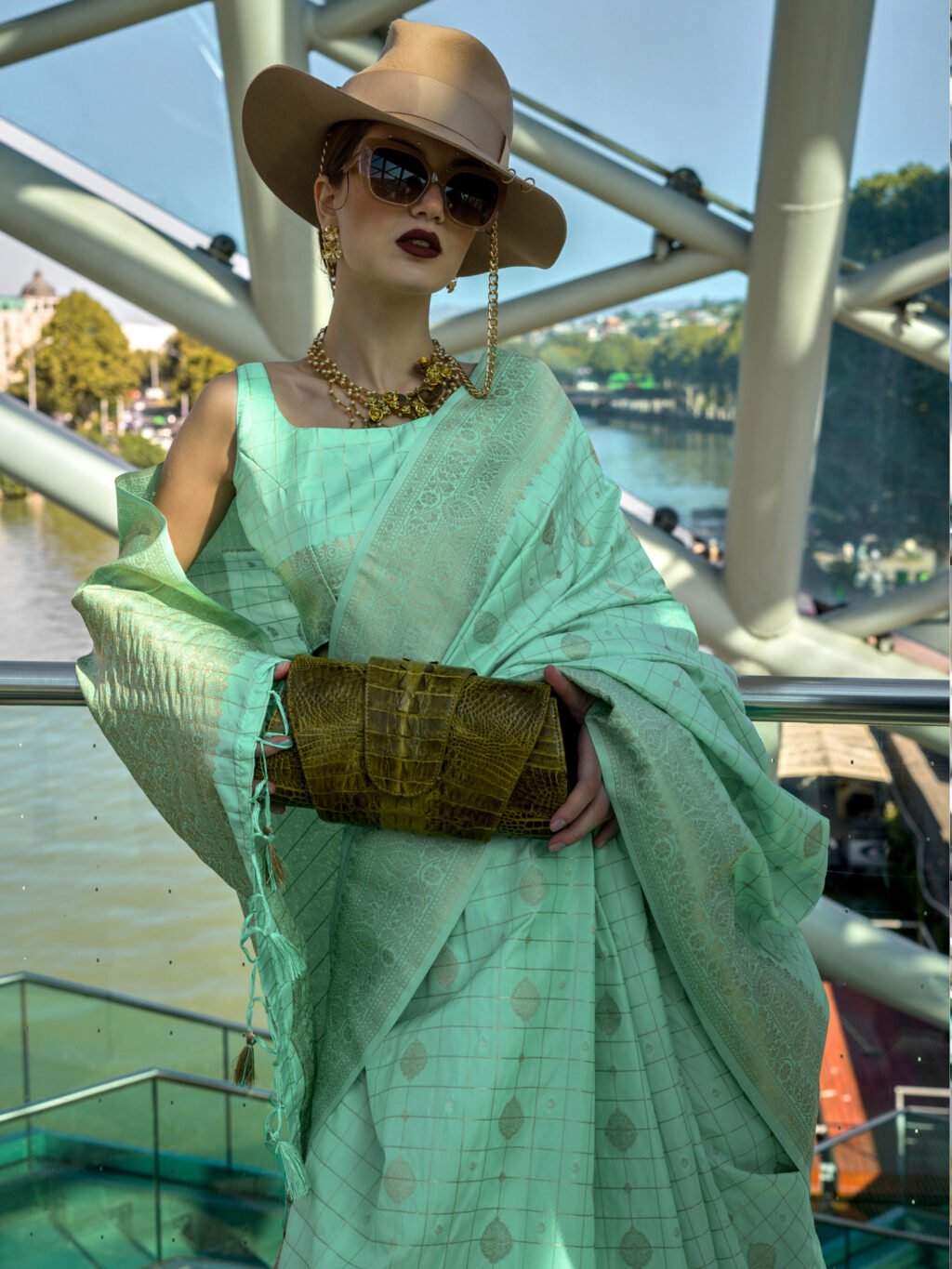showcasing the beauty and craftsmanship of Traditional Saree.