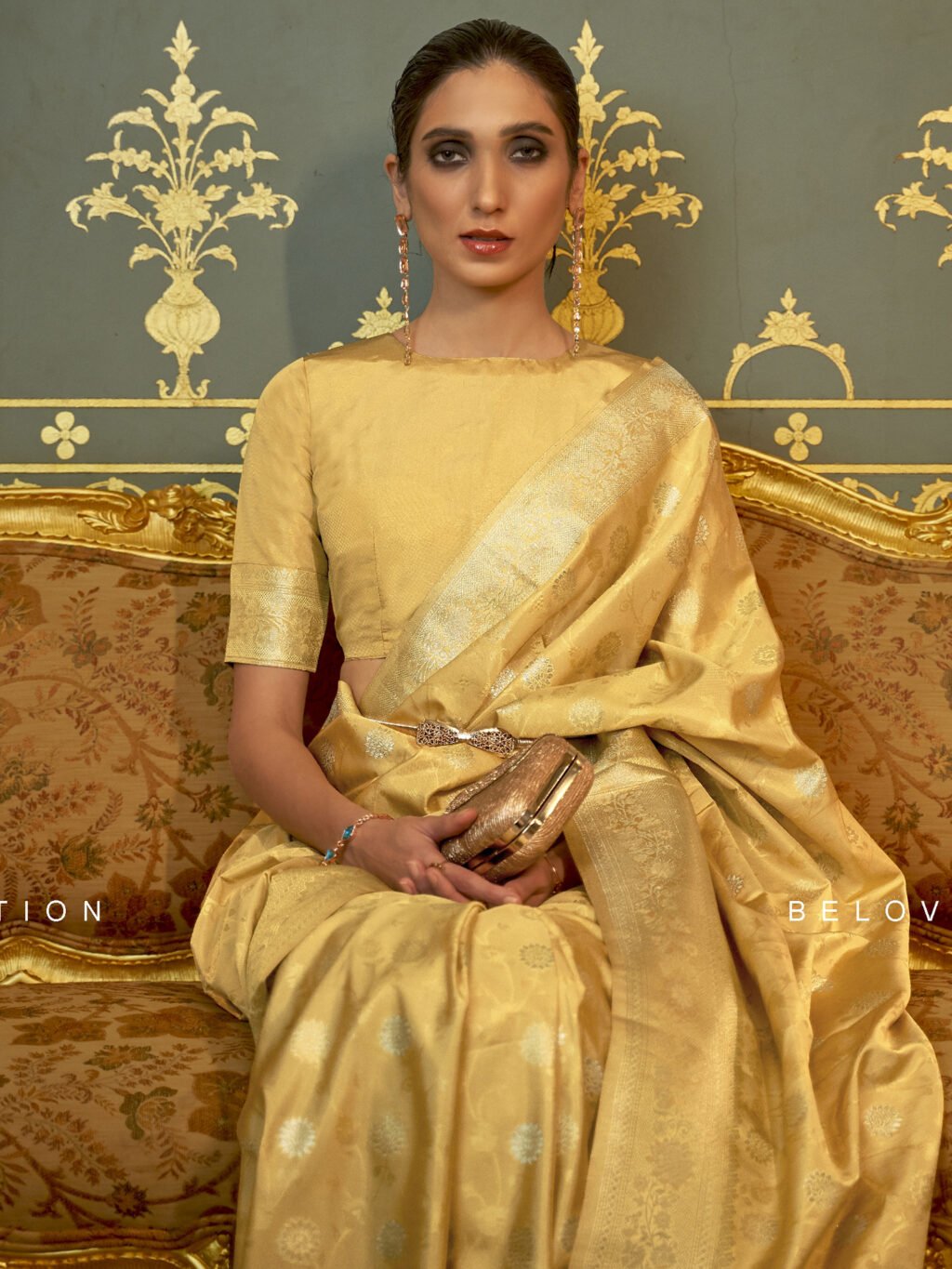 showcasing the beauty and craftsmanship of Traditional Saree.