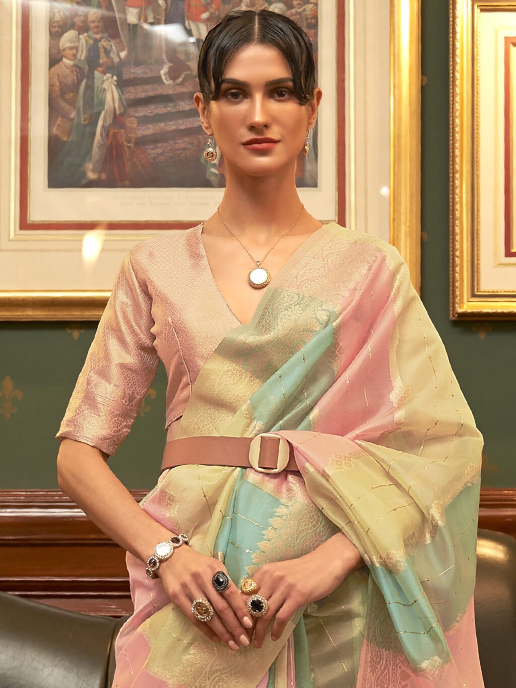 Multicolored Saree - Image 3