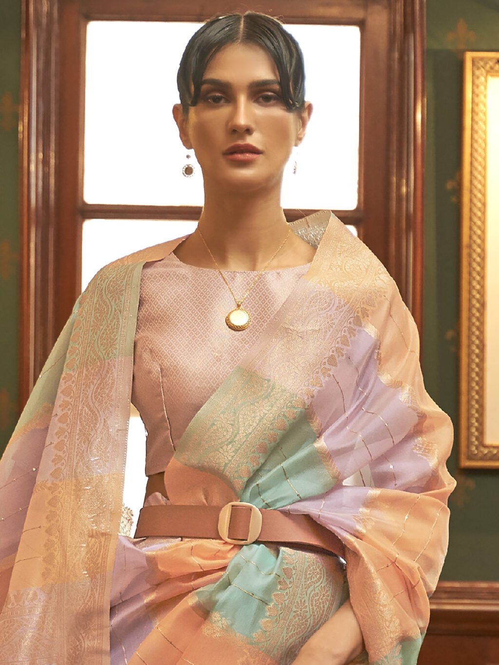 Multicolored Saree - Image 3