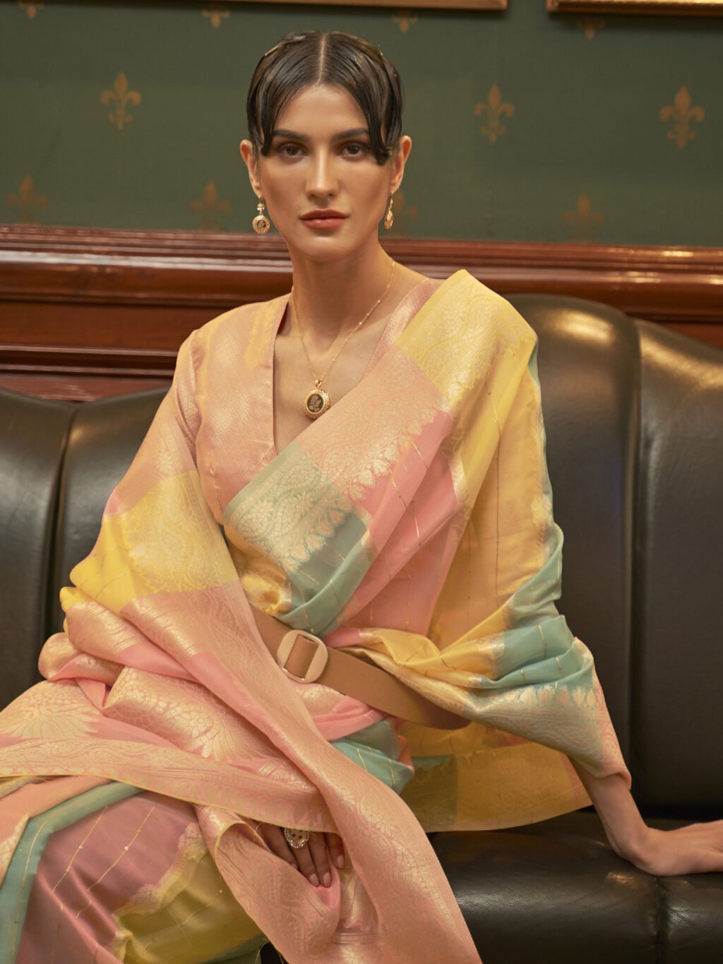 showcasing the beauty and craftsmanship of Traditional Saree.
