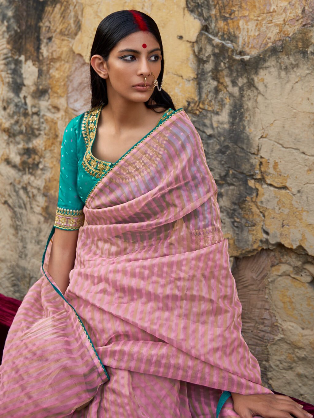 showcasing the beauty and craftsmanship of Traditional Saree.