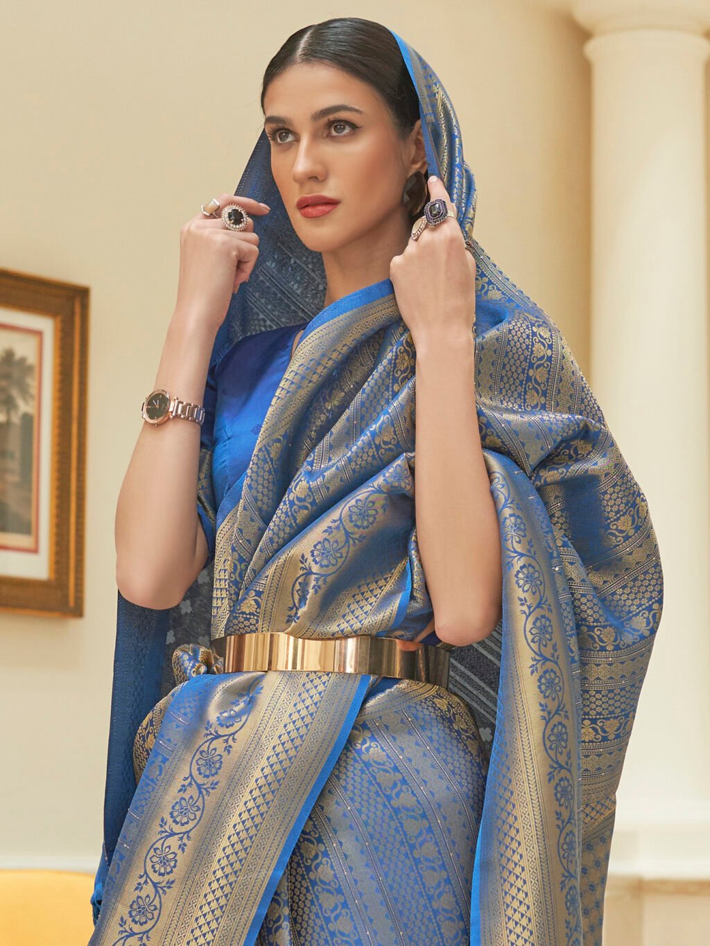 showcasing the beauty and craftsmanship of Festive Saree.