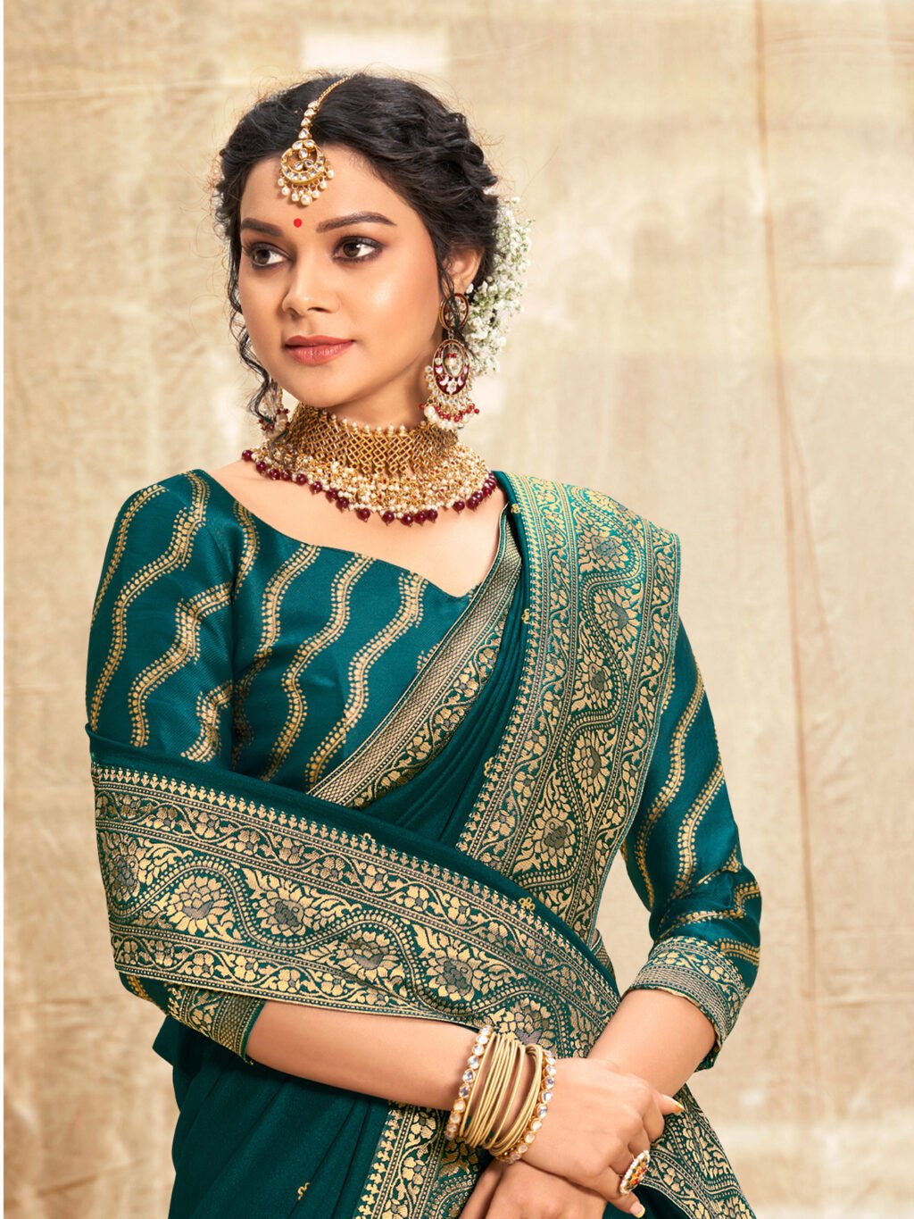 showcasing the beauty and craftsmanship of Party Wear Saree.