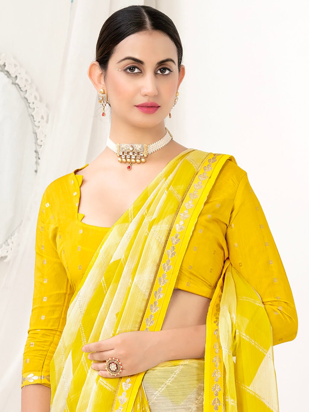 showcasing the beauty and craftsmanship of Festive Saree.