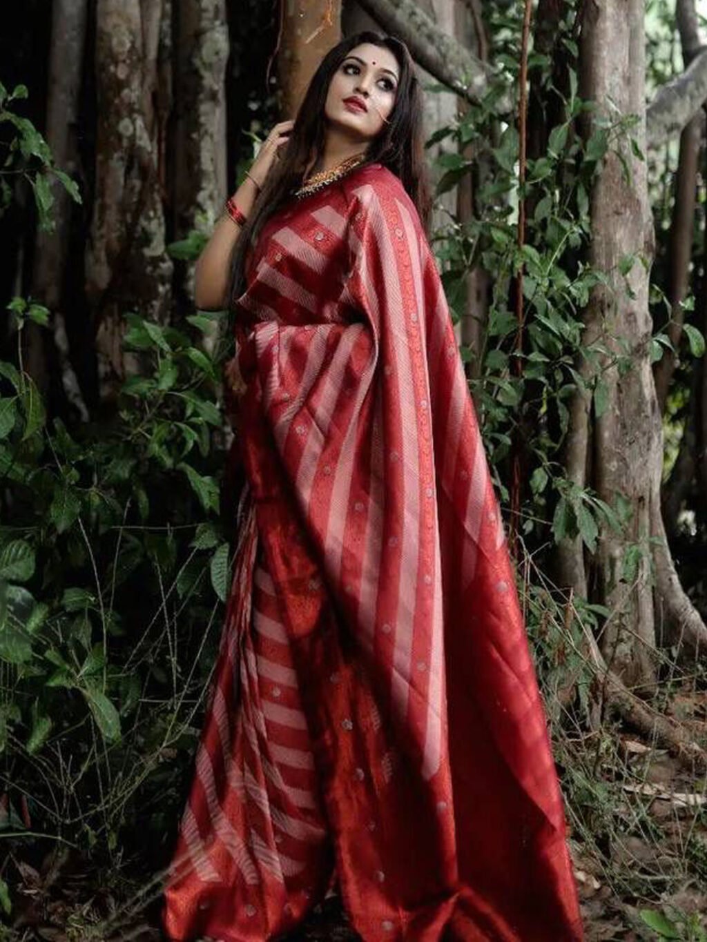 showcasing the beauty and craftsmanship of Silk Saree.