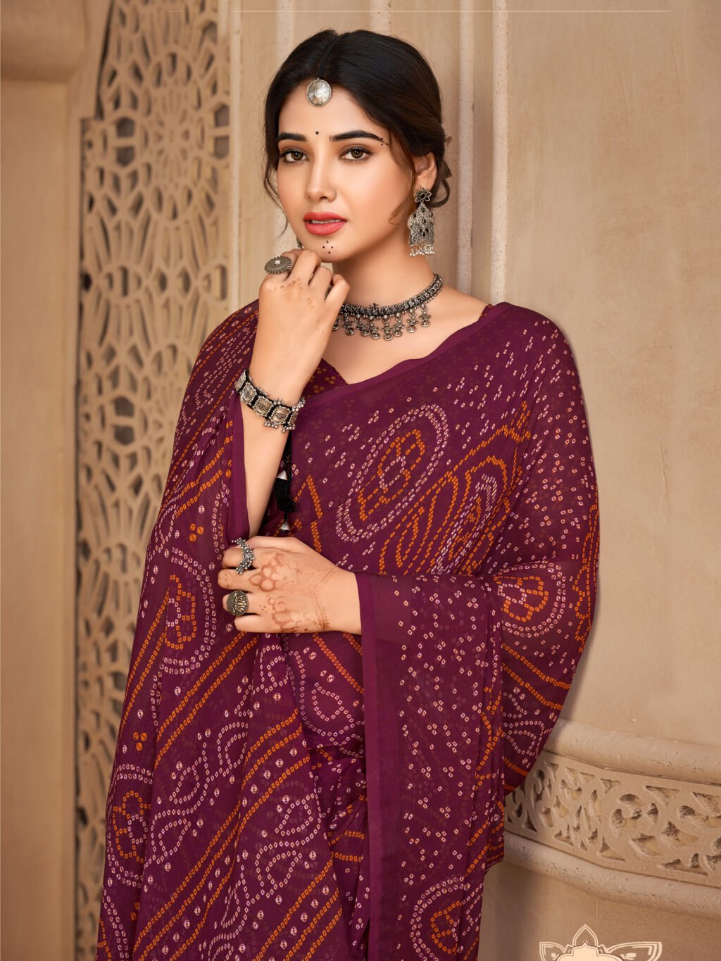 showcasing the beauty and craftsmanship of Traditional Saree.