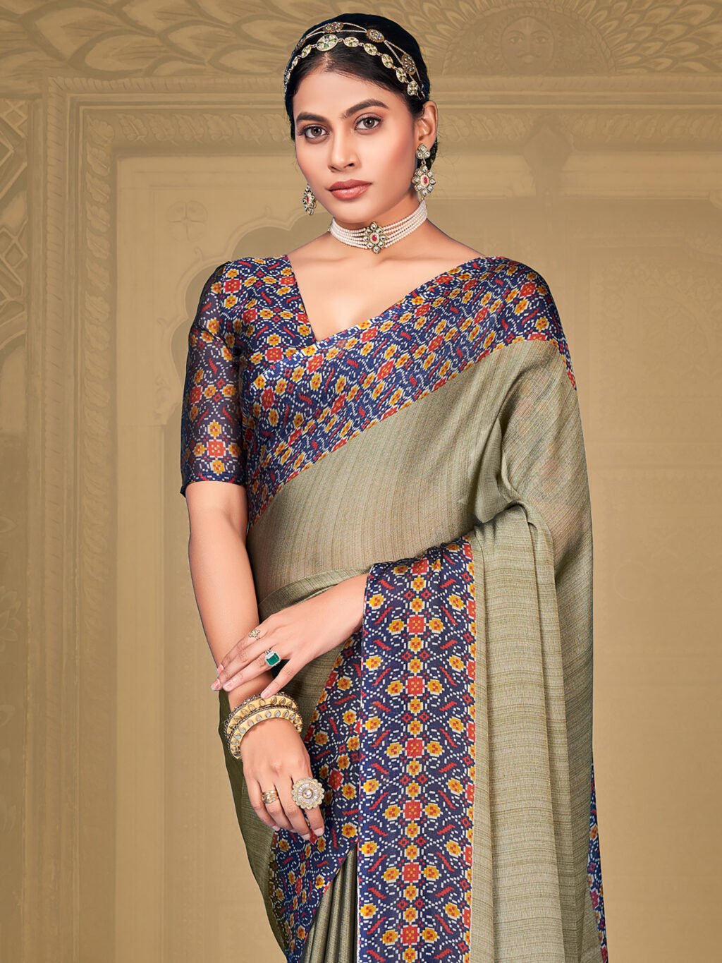 showcasing the beauty and craftsmanship of Traditional Saree.
