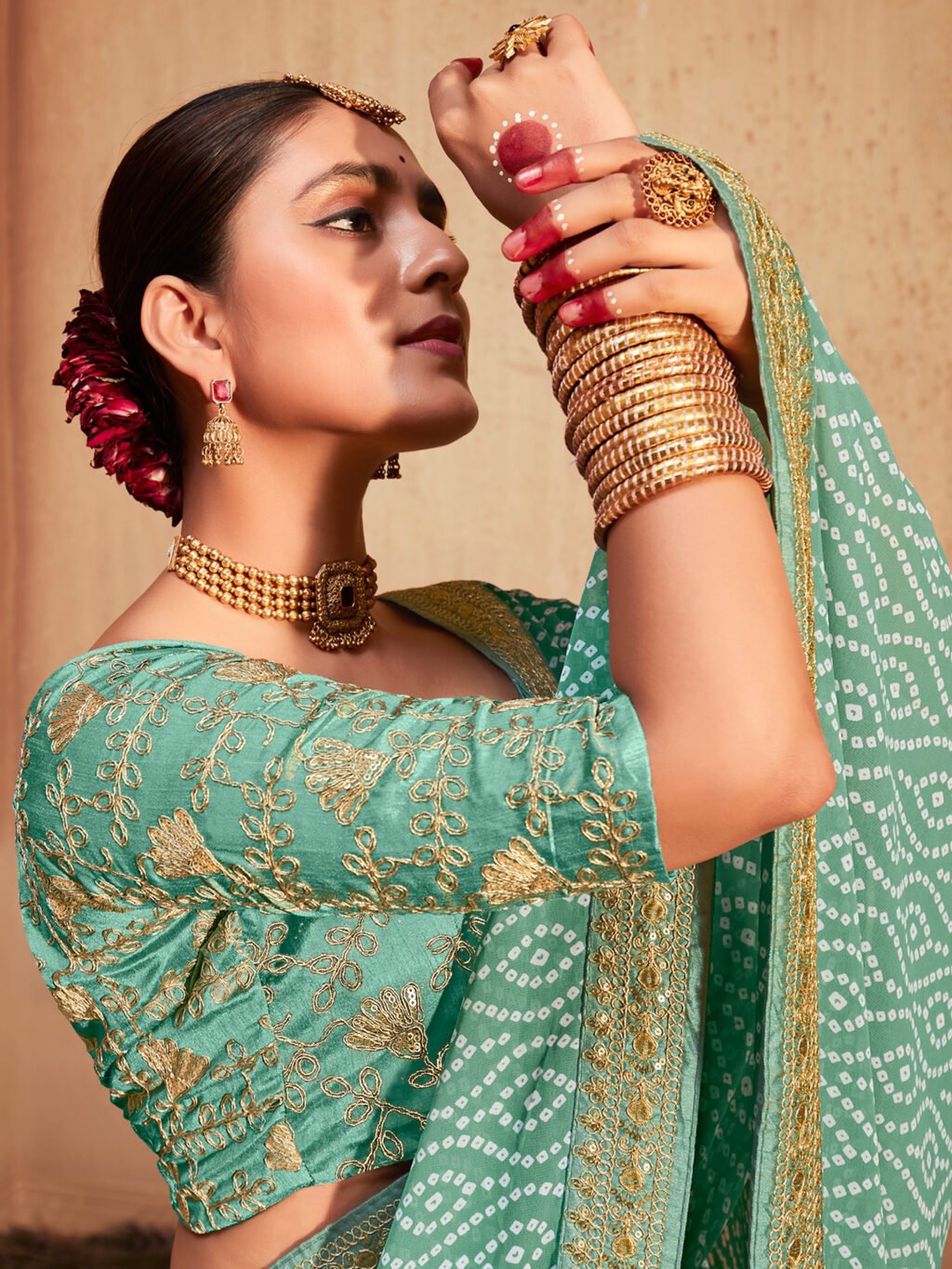 showcasing the beauty and craftsmanship of Traditional Saree.
