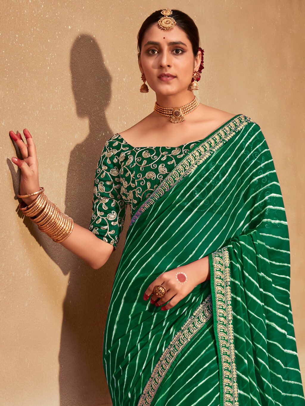 showcasing the beauty and craftsmanship of Traditional Saree.